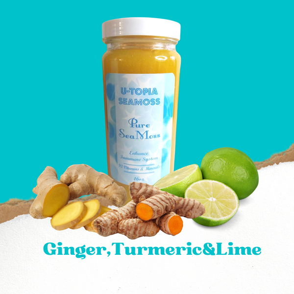 Utopia Ginger, Turmeric & Lime Sea Moss Gel